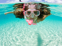 Snorkeling Equipment Rentals