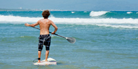 SUP Rentals