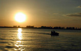 Dolphin Cruise Tours