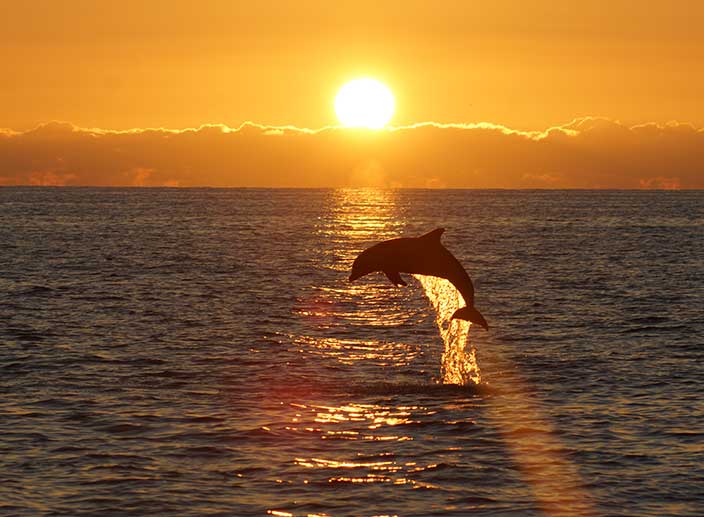 Private Sunset Cruises in Englewood FL