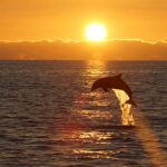 Private Sunset Boat Cruise Englewood FL