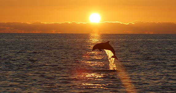 Private Sunset Boat Cruise Englewood FL